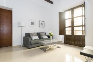 Apartamentos Plaza Nueva - Sevilla - 6