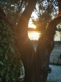 Bora kuće na reci - Belgrad - 5