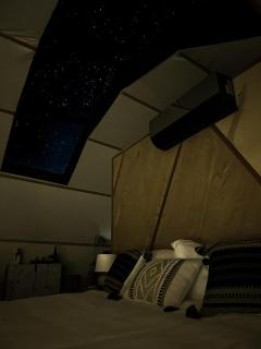 Backland - Williams - 7