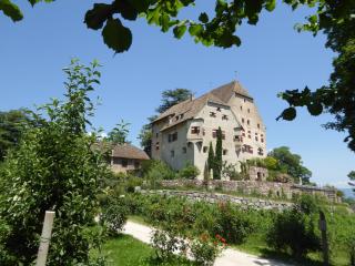 Schloss Englar - Appiano sulla Strada del Vino - 6