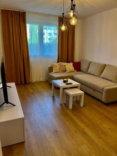 Alexander Cozy Apartment FREE PRIVATE PARKING - Mediaş - 0