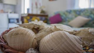 Apartment 45m2 in Asprovalta - 1