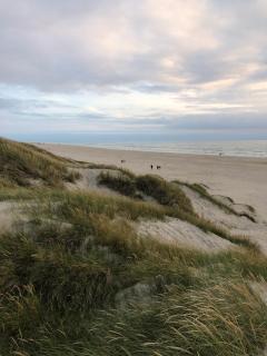Luxury 109m2 cottage DunesNorthSea LøkkenBlokhus Denmark - 3