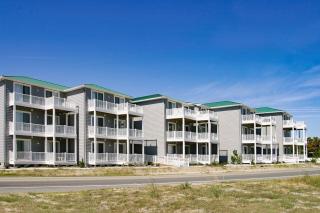 Seaside - Sand Dollar C-103 - 7