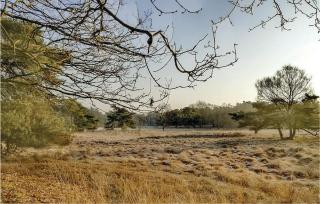 Gorgeous Home In Vledder With Wifi - 8