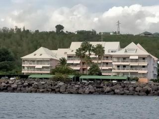 Bel appartement avec piscine, face à la mer - Gourbeyre - 2