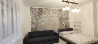Mérey Apartment - Szeged - 8