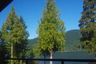 Wild Coast Chalets - Port Renfrew - 8