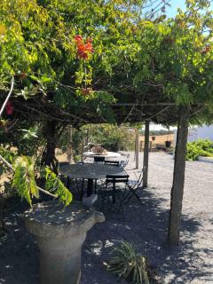 QUINTA DA CORTE - Santiago do Cacém - 2