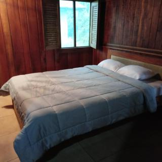 Pochotel Natural - 5