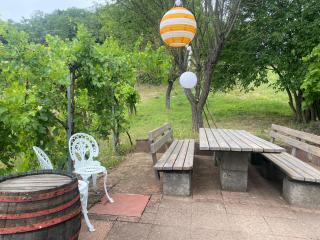 Vine Cottage - Káptalantóti - 6
