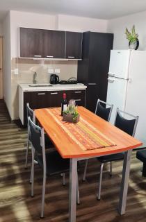 Departamento monoambiente, a metros de Peatonal Sarmiento - Mendoza - 6