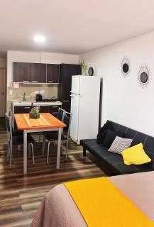 Departamento monoambiente, a metros de Peatonal Sarmiento - Mendoza - 5