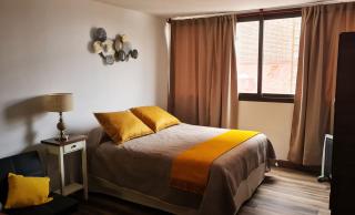 Departamento monoambiente, a metros de Peatonal Sarmiento - Mendoza - 8
