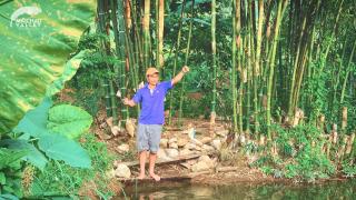 Mai Chau Valley Retreat - Mai Châu - 4