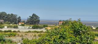 Casa Afonso - Passadiços do Paço - 4