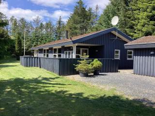 Holiday home Blokhus LVII - Blokhus - 0