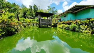 Jolits EcoGarden Hostel - Batuan - 3
