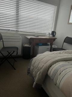 TAURANGA, Bay of Plenty - Tauranga - 2