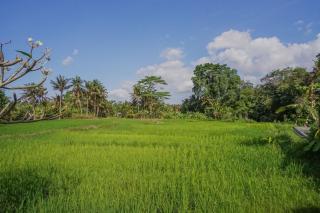 Nayaka Living Ubud - Ubud - 6