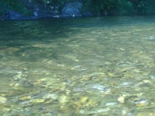 Le mas des sources cévenol - Chambon - 4