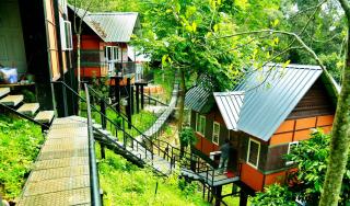 Santhi Hill View Resort - Munnar - 7