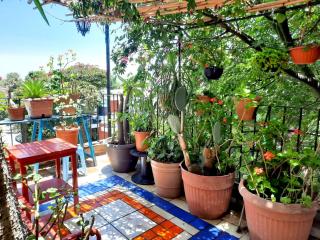 La Terraza del Pochote - Città di Oaxaca - 0