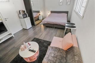 Magnifique studio cosy - - 3