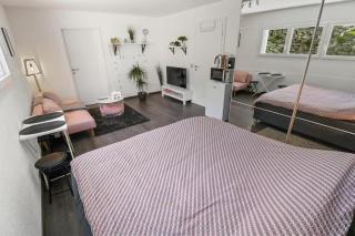 Magnifique studio cosy - - 5