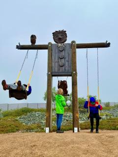 Arctic Lodges Lapland Ski in Studio, slopes, ski tracks, National Park, free Wi-Fi - Lapland Villas - 3