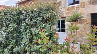 Au creux des vignes - Les Verchers-sur-Layon - 0