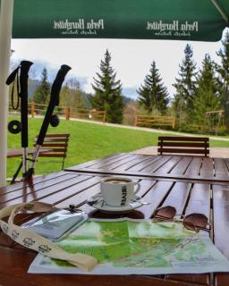 Mountain-Rest Pension - 4