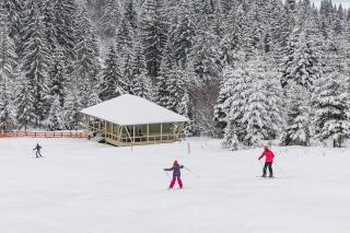 Mountain-Rest Pension - Miercurea Ciuc - 3