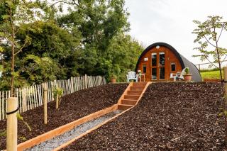 Ivy hill Glamping Pod - Ennis - 6