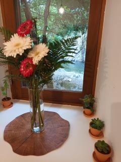 Moinho das fragas - 2