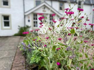 Hartfield House Hostel - 3