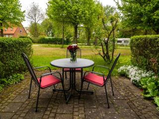 Feriendorf Rugana - Klassik 1-Raum Appartement mit Terrasse C46 - Dranske - 4