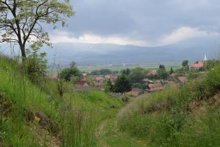 Birdsong Cottage - peaceful country retreat - Păuleni-Ciuc - 2