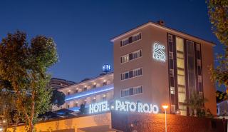Pato Rojo - Punta Umbría - 4