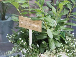Hotel & Steakhouse am Schlosspark - 4