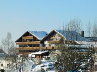 Appartementhaus Himmelreich - Lam - 7