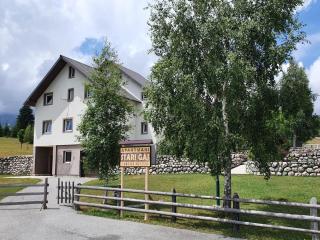 Apartmani Stari Gaj - Žabljak - 9