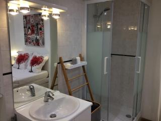 SUITE AVEC TERRASSE ET JARDIN AUX PORTES DE PARIS - Les Pavillons-sous-Bois - 4