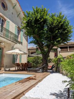 Le vieux tilleul - Cavillargues - 9