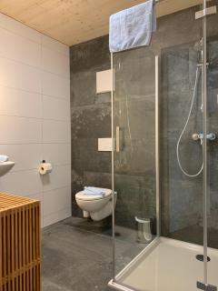 Monika-Mellau Appartements - Mellau - 5