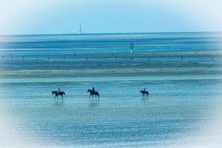 Strandhochhaus SG03 - Cuxhaven - 9
