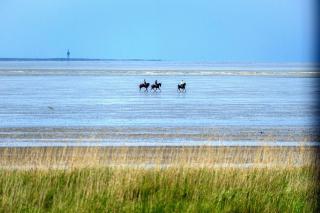 Haus Horizont HZ14 - Cuxhaven - 3
