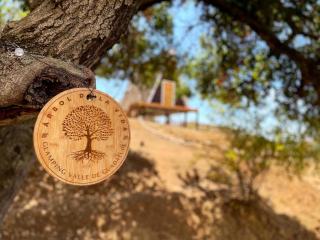 Árbol de la Vida Glamping Valle de Guadalupe - 6