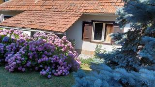 Apartman Nebojša - Rudnik - 2