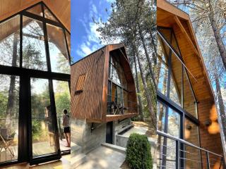 National Park Sauna Retreats - Villa 68 Pines - Kaluđerske Bare - 0